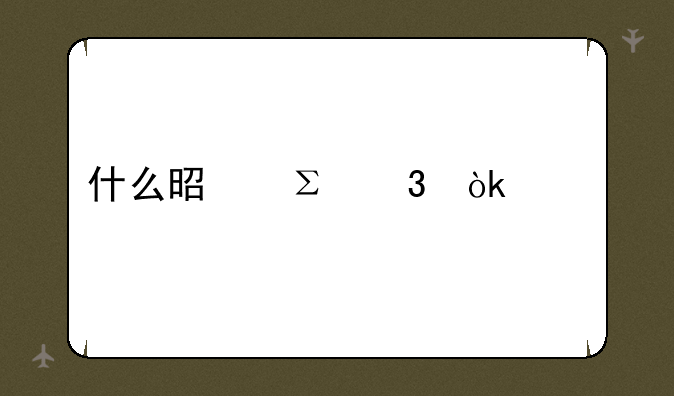 什么是注册会计师