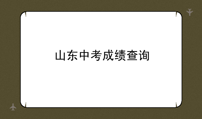 山东中考成绩查询