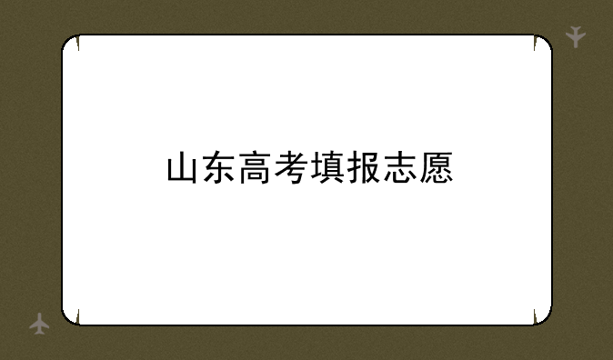 山东高考填报志愿