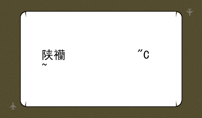 陕西中考成绩查询
