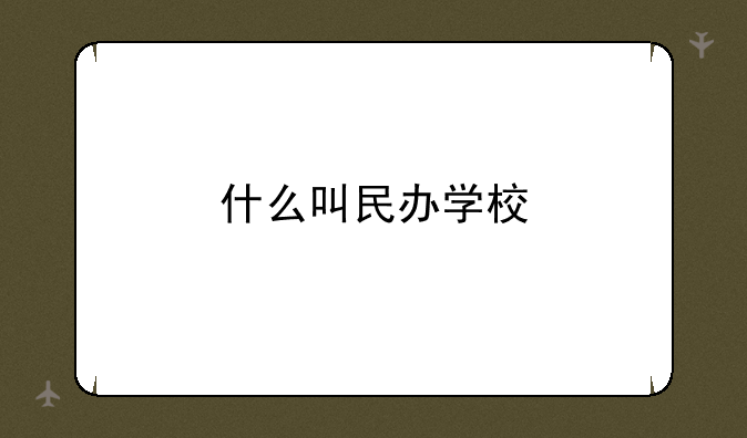 什么叫民办学校