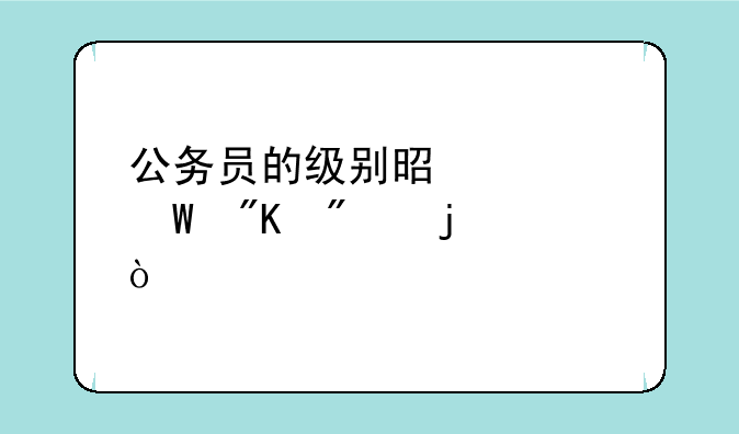 公务员的级别是如何划分的？