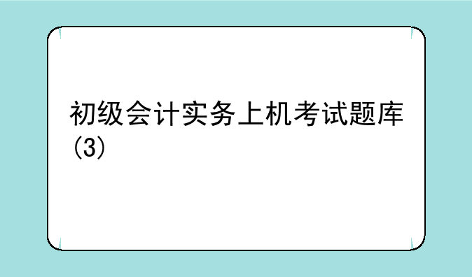 初级会计实务上机考试题库(3)