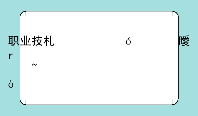 职业技术资格证书在那查询？