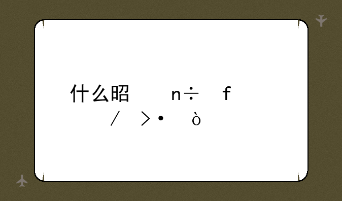 什么是国际工程班？