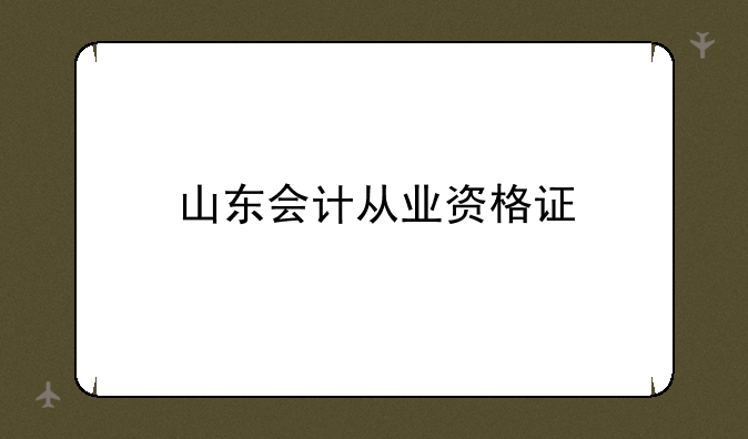 山东会计从业资格证