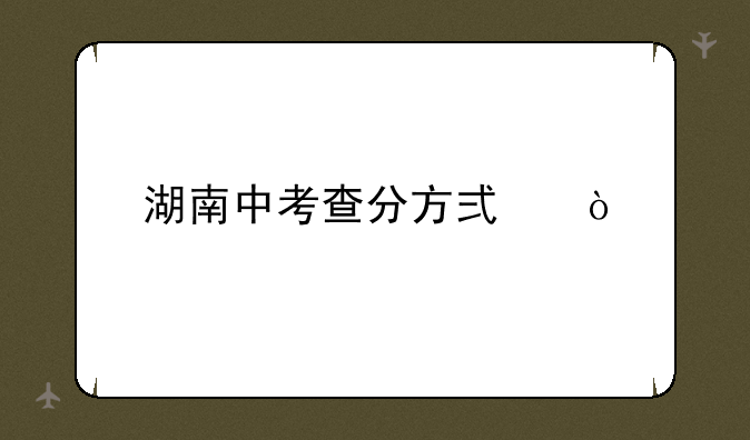 湖南中考查分方式？
