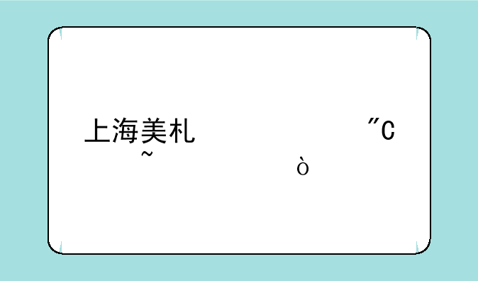 上海美术考级成绩查询？