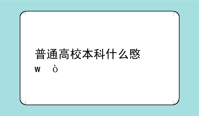 普通高校本科什么意思？
