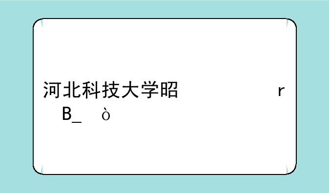河北科技大学是一本吗？