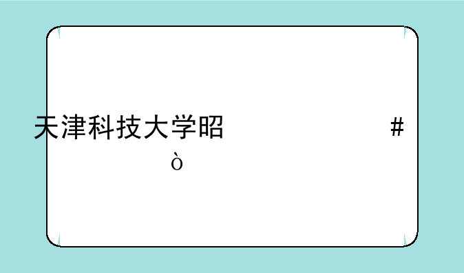 天津科技大学是什么档次？