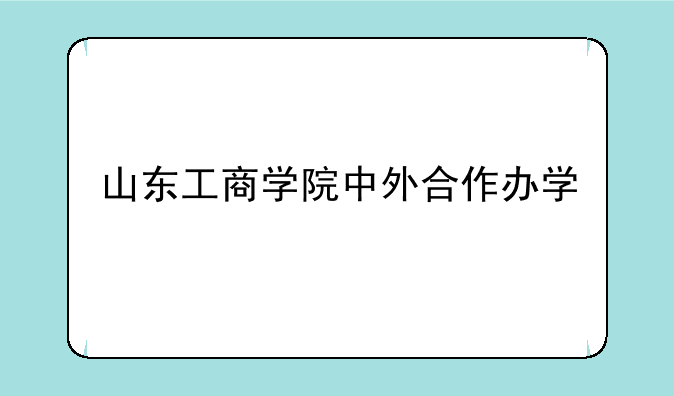 山东工商学院中外合作办学