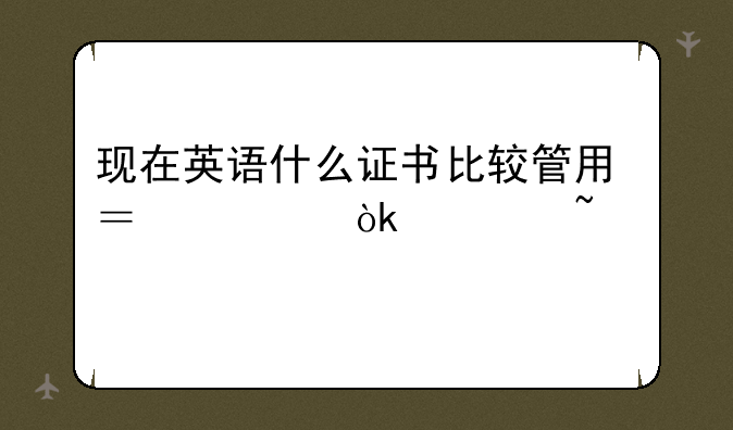 现在英语什么证书比较管用？社会认知度高