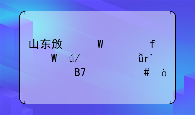 山东政法学院法律系共有几名老师？