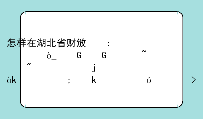怎样在湖北省财政厅公众网网上查到自己的会计从业资格证号及相关信息