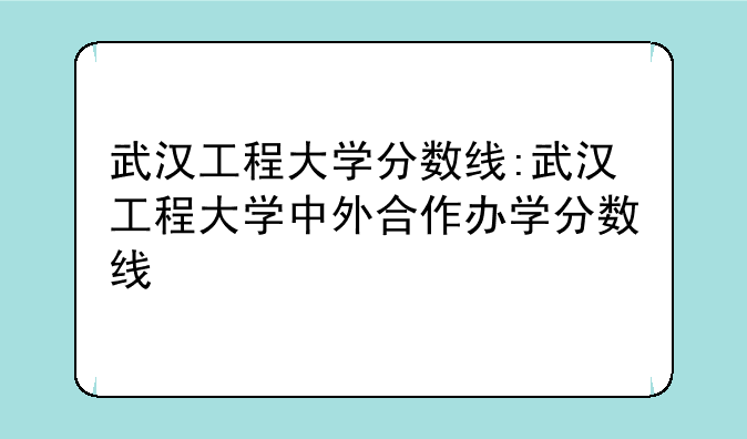 武汉工程大学分数线:武汉工程大学中外合作办学分数线
